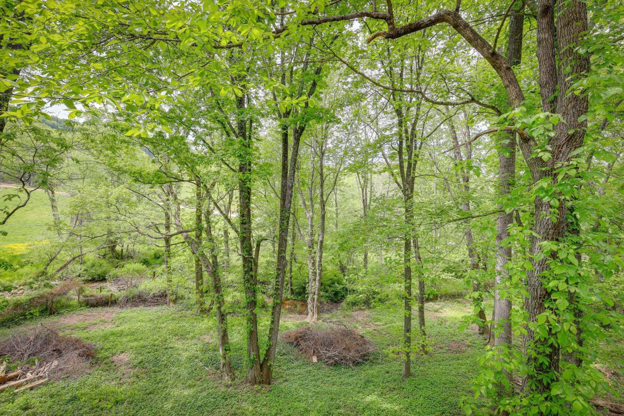 Quaint Blue Ridge Cabin Rental With On-Site Stream! Sparta Zewnętrze zdjęcie